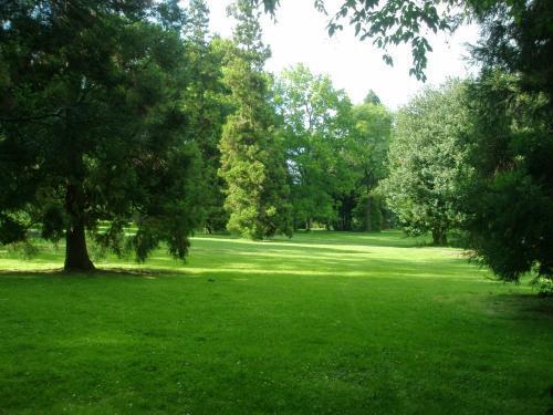 Mozart Guest House Seattle Bed And Breakfast ภายนอก รูปภาพ