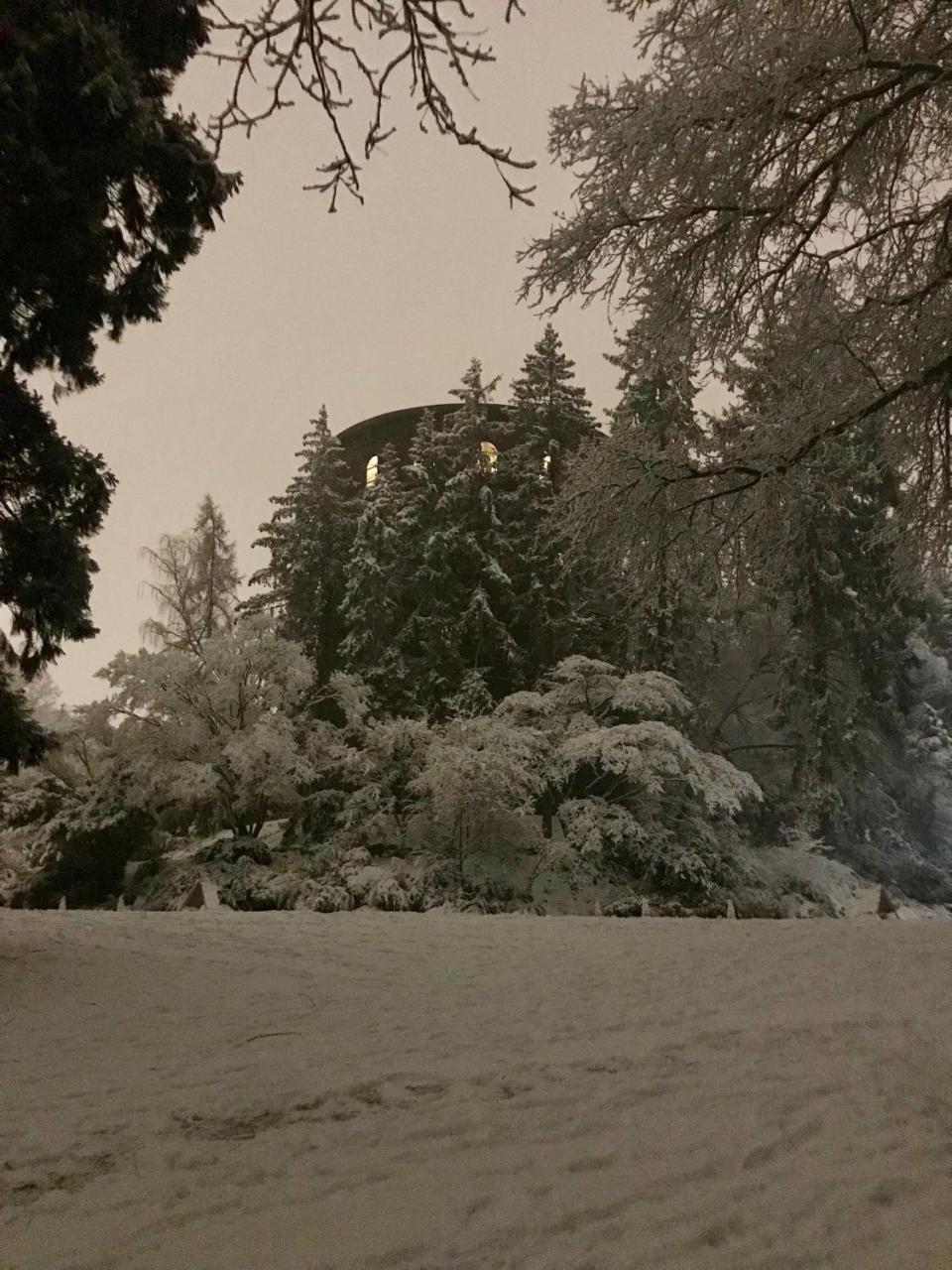 Mozart Guest House Seattle Bed And Breakfast ภายนอก รูปภาพ
